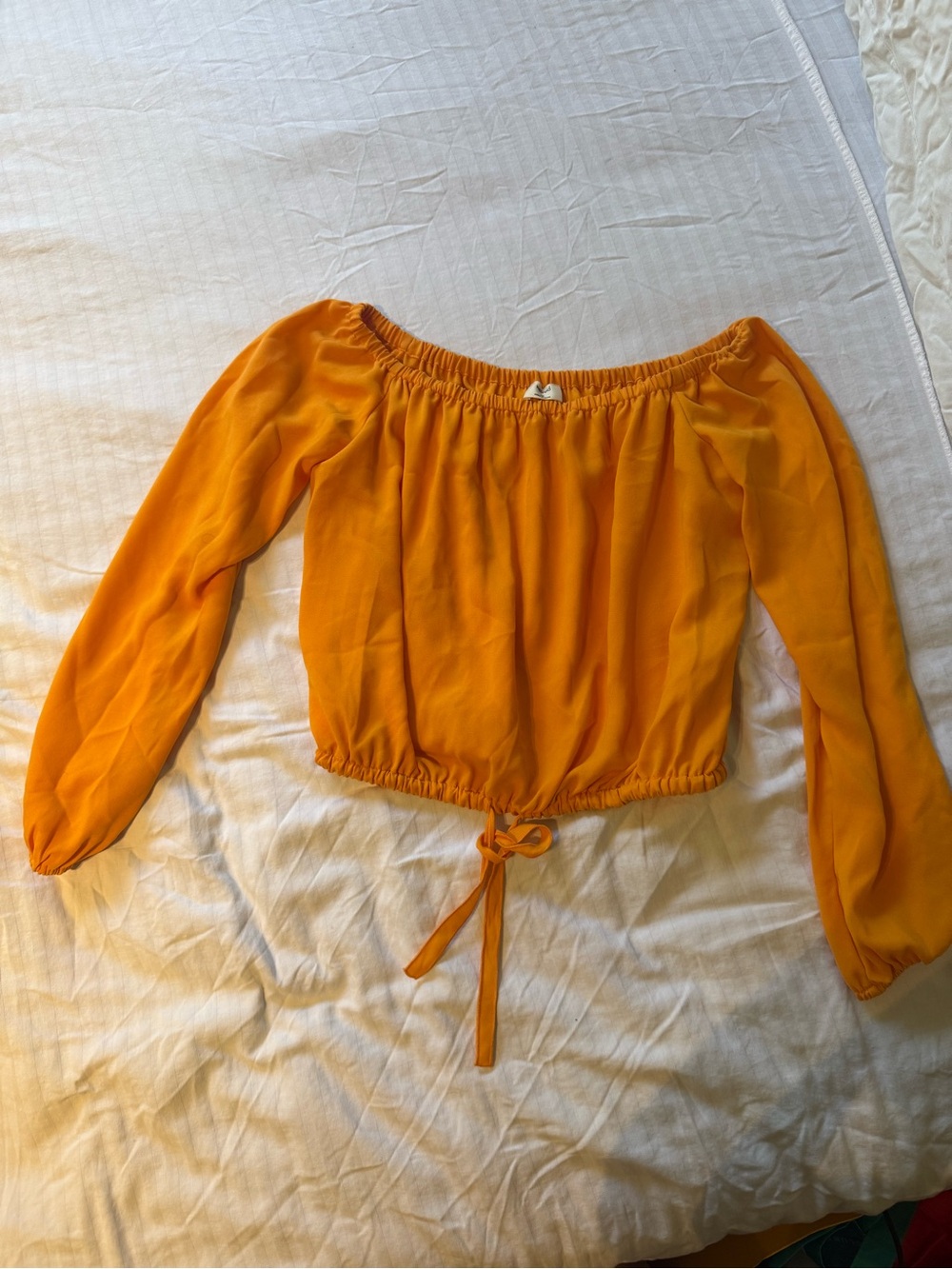 Off-Shoulder Long Sleeve Crop Top in Mustard ARITZIA WILFRED